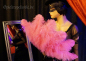 Preview: straussfächer pink burlesque revue show