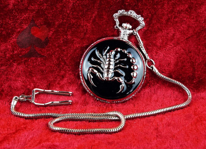 Taschenuhr mit Kette und Springdeckel Skorpion